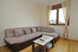 Apartman Scandinavia & SPA - Zlatibor - 7