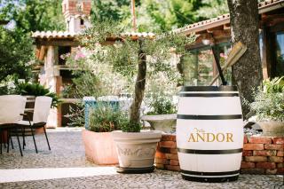 Villa Andor - Ankaran - 2