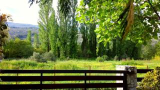 To Spiti - Pelion House - Kala Nera - 4