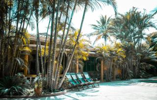 The Paradise In Kilimanjaro - Moshi - 4