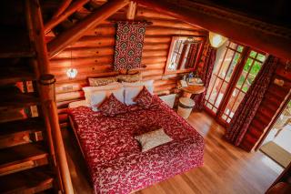 Queenswood Cottage - 3