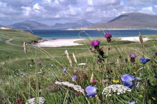 27 Garenin - Carloway - 7