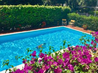 La Coccinella Residence - San Vincenzo - 8