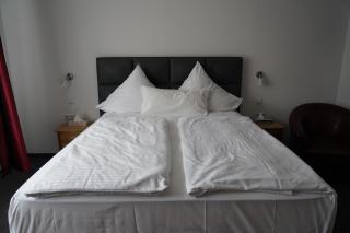 Hotel & Restaurant Blume - Wolfsburg - 4