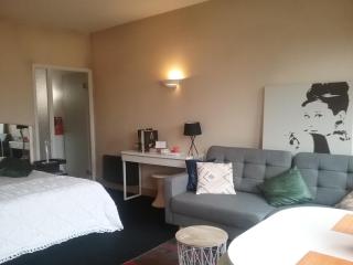 Le Flat Victoria -Canal & Cathédrale -40m2 - Nancy - 2