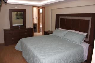 Hotel & Suites Victoria - San Luis Potosí - 5
