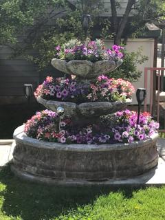 Blue Spruce Inn-Meeker, Colorado - Meeker - 9