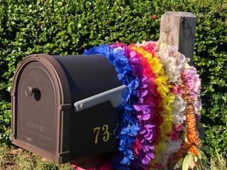 The Great Kona Escape - 9