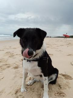 Beachside Backpackers - Port Macquarie - 1