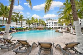 Elysium Private Apartments at Beach Club & Spa - Palm Cove - 7
