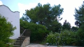 villetta tranquilla - San Vito dei Normanni - 7