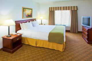 Holiday Inn Express Hotel & Suites Elkins by IHG - Elkins - 7