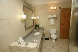 Holiday Inn Riverton-Convention Center by IHG - 9