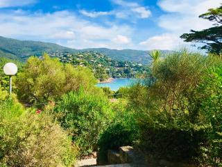 Mazet « Domaine de la pinède » - Le Lavandou - 7