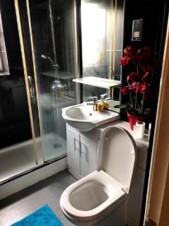 Apartment & Rooms in London - Croydon - 4