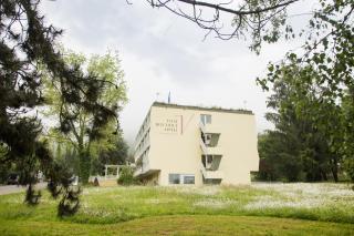 VitalBoutique Hotel Zurzacherhof - Bad Zurzach - 3