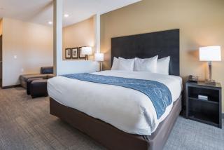 Comfort Suites Marysville Columbus - Northwest - Marysville - 7