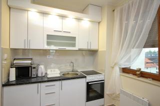 Apartman Scandinavia & SPA - Zlatibor - 1