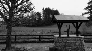 Cartron House - Ballynakill - 1
