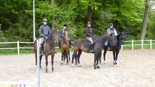 Gut Dankerode - Dankerode - 8