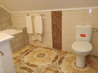 Pensiunea Burciu - 3