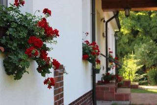 Agroturystyka Rębowo - 3