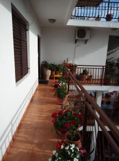 Apartmani Dado - Ulcinj - 0