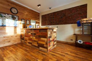 Hostal Boutique Patagonia Mística - Punta Arenas - 5