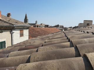 4 Apt T2 50 à 60 M2 déplacement "PRO" ou "couple avec enfants" Les Hauts De Bourg " - Bourg-Saint-Andéol - 5