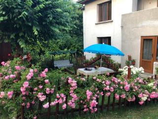 Guest house Emmy - Trigrad - 0