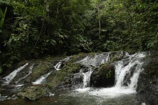 Macaw Lodge - Carara - 5