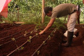 Macaw Lodge - Carara - 3