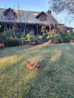 Angaston by the Winter Creek - Angaston - 0