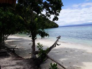 Turtle Dive Homestay - Kri - 6