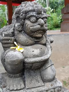 Gusti Room - Ubud - 8