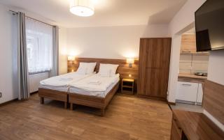 Apartamenty ZYGFRYD 28C/3/2 - Bystrzyca Kłodzka - 0