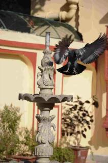 Rawla Mrignayani Palace - Jaipur - 3