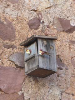 Beni Qásim 1915 - 6