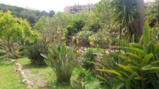 Av Fonte Coberta, Lagos, Villa Fonte Coberta - Lagos - 4