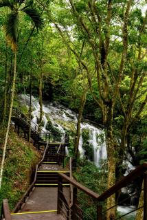 Look Tea House - Meishan - 6