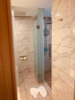 Metropolo Jinjiang Wuhan Optics Valley Science and Technology Exhibition Center - 4