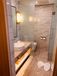 Metropolo Jinjiang Wuhan Optics Valley Science and Technology Exhibition Center - 1