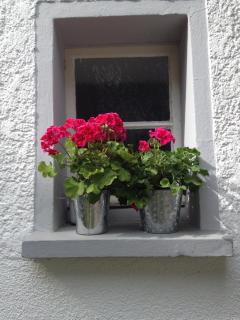 Ferienwohnung Lahnmündung - Lahnstein - 5