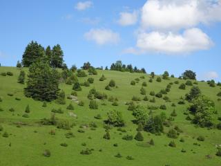 Heid-Blick - Gomadingen - 0
