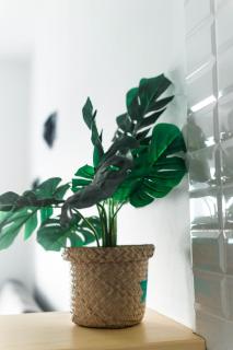 Apartamento CaMaría Playa - 5