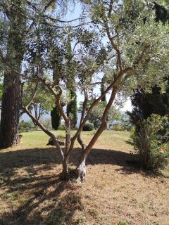La Bastide du Limon - 1
