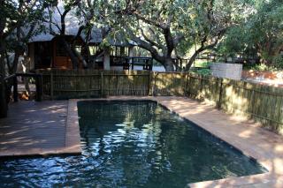 Tuskers Bush Lodge B&B - 9