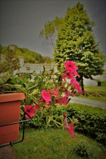 appartamento Nonna Mary - 3