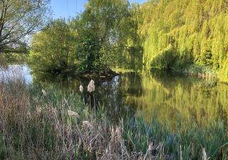 Loftsome Bridge Hotel - Wressell - 3