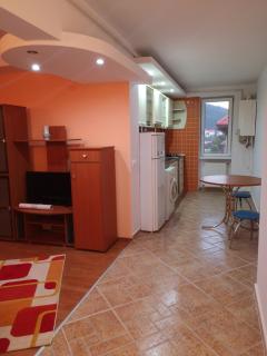 CENTRAL APARTAMENT - Predeal - 9